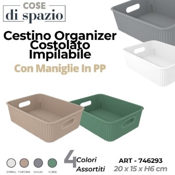 CSN CESTINO IMPILABILE 20X15X6