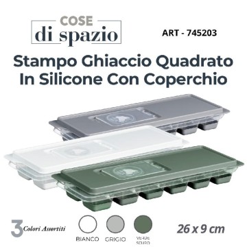 CSN FORMAGHIACCIO C/COP 745203