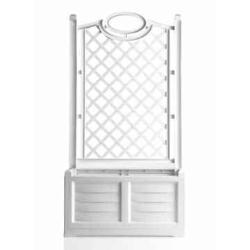 BAMA FIORIERA C/PALLIERA...