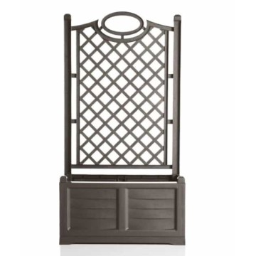 BAMA FIORIERA C/PALLIERA...