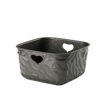 BAMA CESTINO TUTTO QUI...