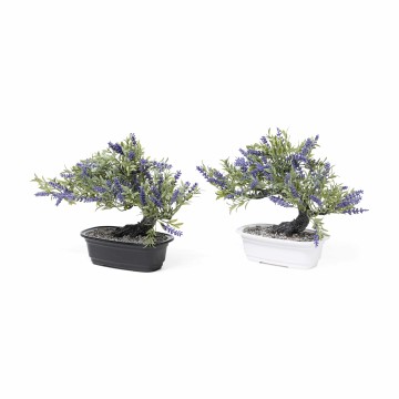 MCR FIORE VASO PIANTA...