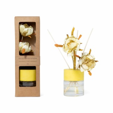 MCR PROFUMO AMBIENTE 100ML...