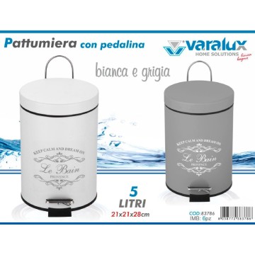 ICS PATTUMIERA SILVER 5L 2...
