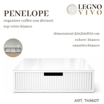 CSN PORTA CIALDE 30X30X10...