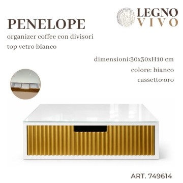 CSN PORTA CIALDE 30X30X10...