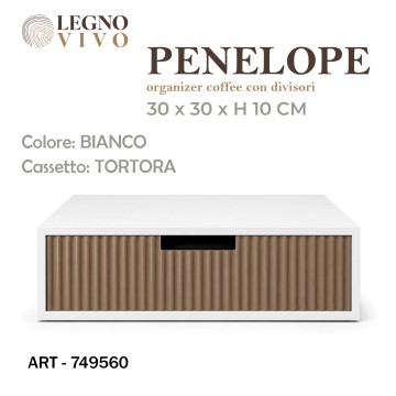 CSN PORTA CIALDE 30X30X10...